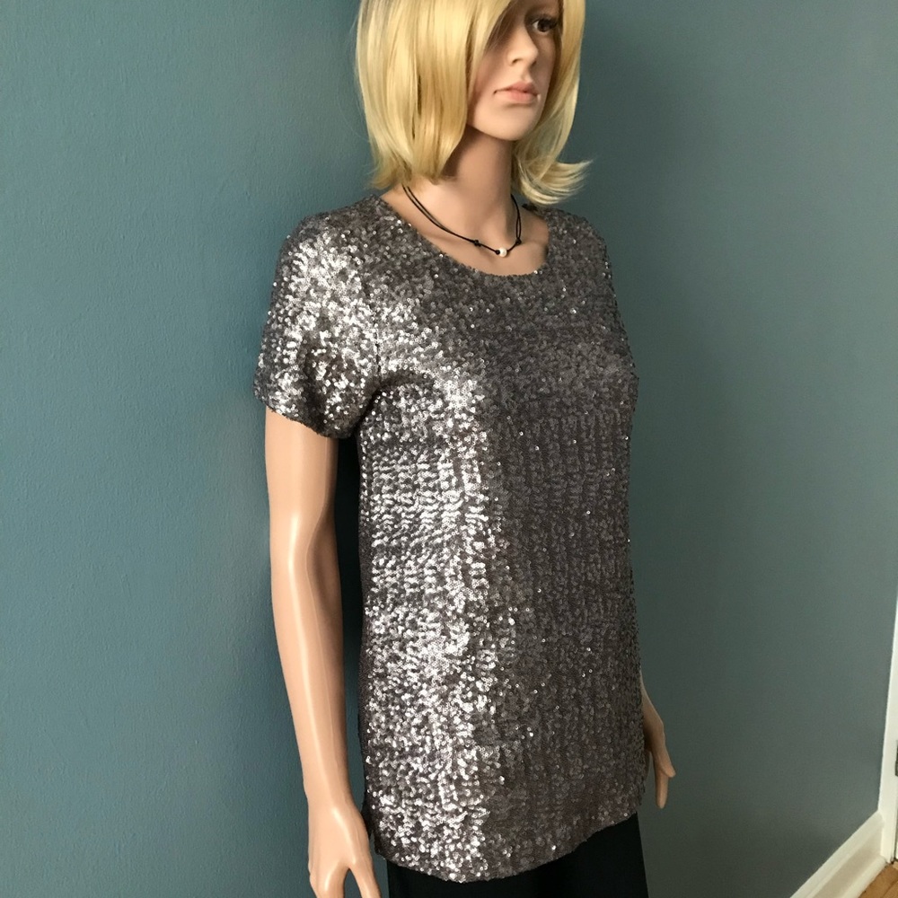 NWOT Velvet by Spencer & Graham Pewter and Silver Sparkly Dress Top NWOT